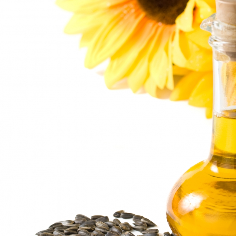 Seed Oils